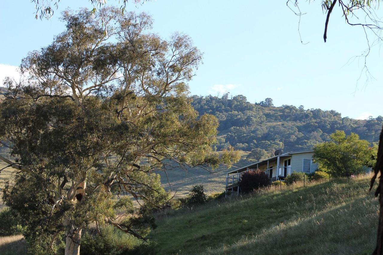 Elm Cottage Tumut Exteriör bild