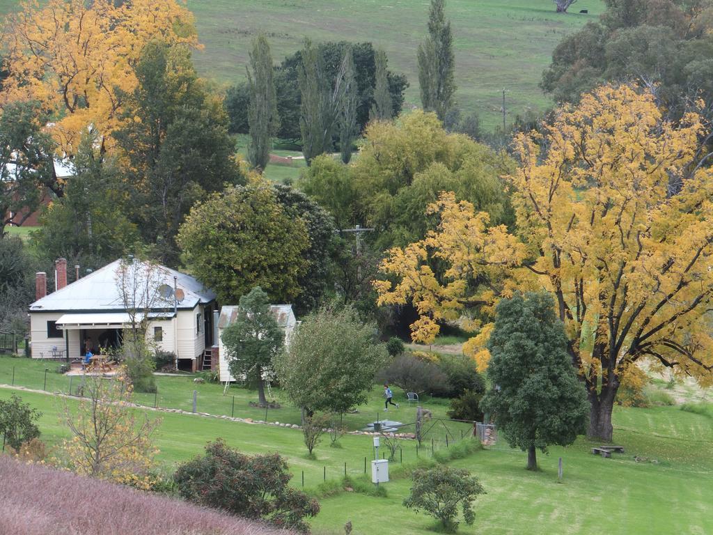 Elm Cottage Tumut Exteriör bild